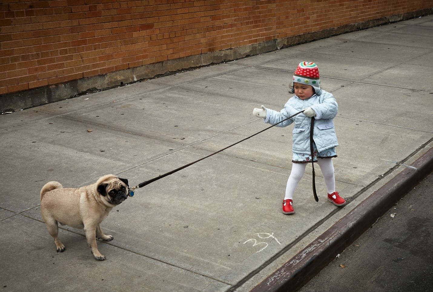 little girl pulling dog with leash