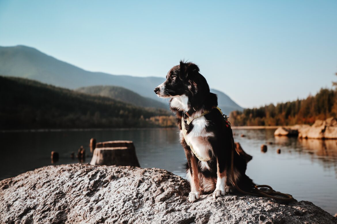 mario-verduzco-hsCO65SL9aA-unsplash