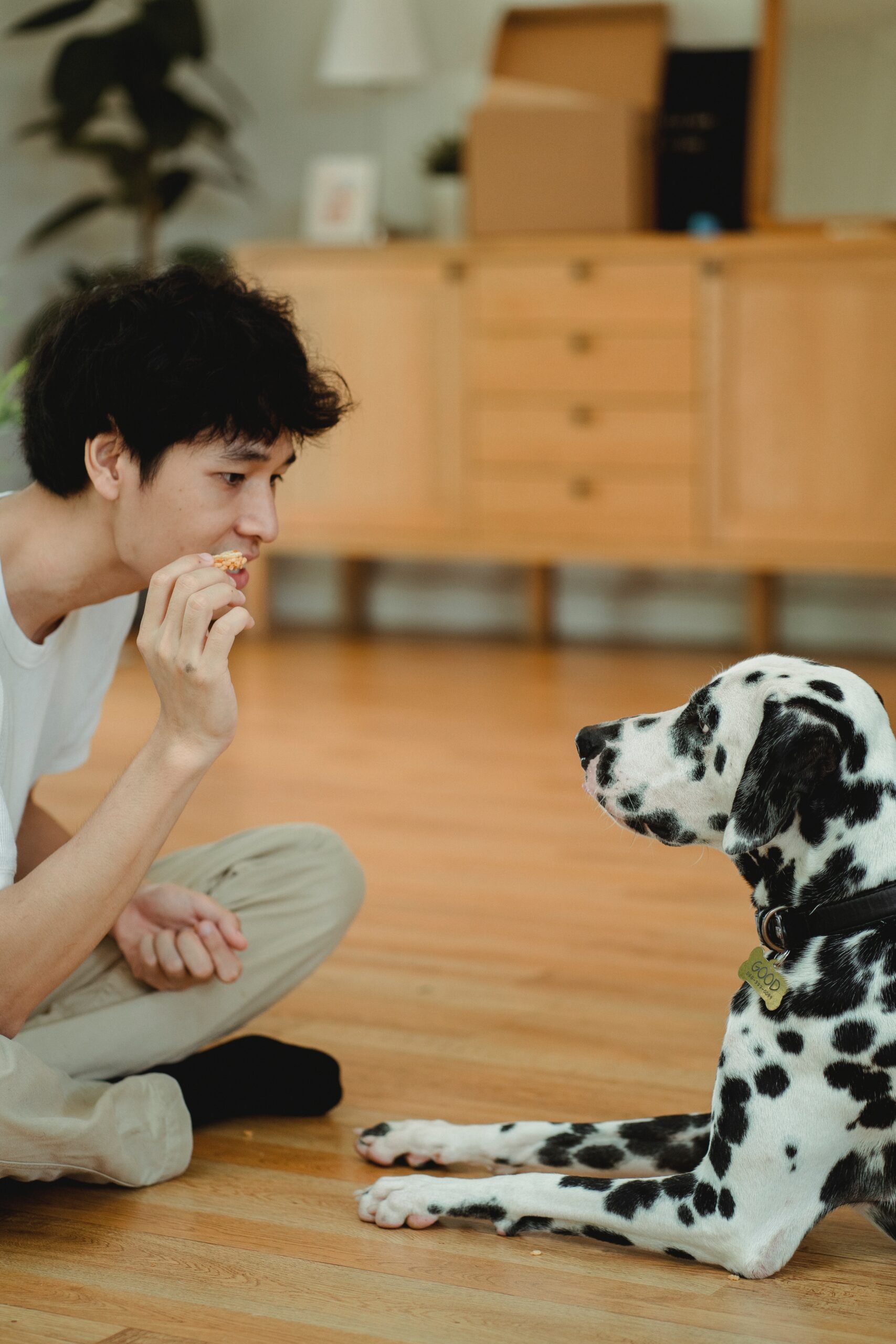 man luring his dog with treat