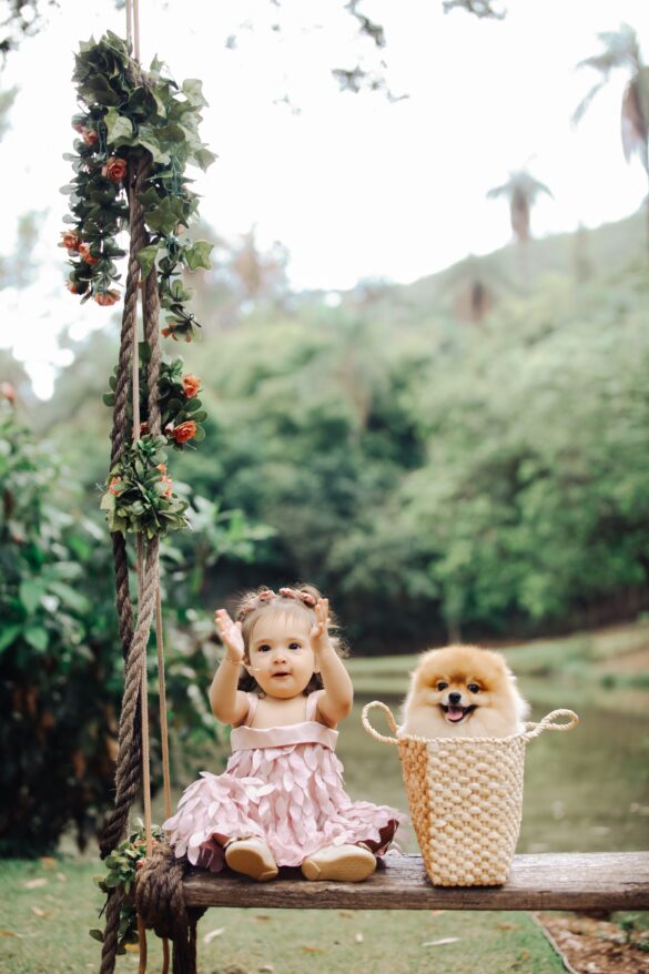 brown colored pomeranian sitting in a basket with a cute little girl on swing. This picture has green trees at their back