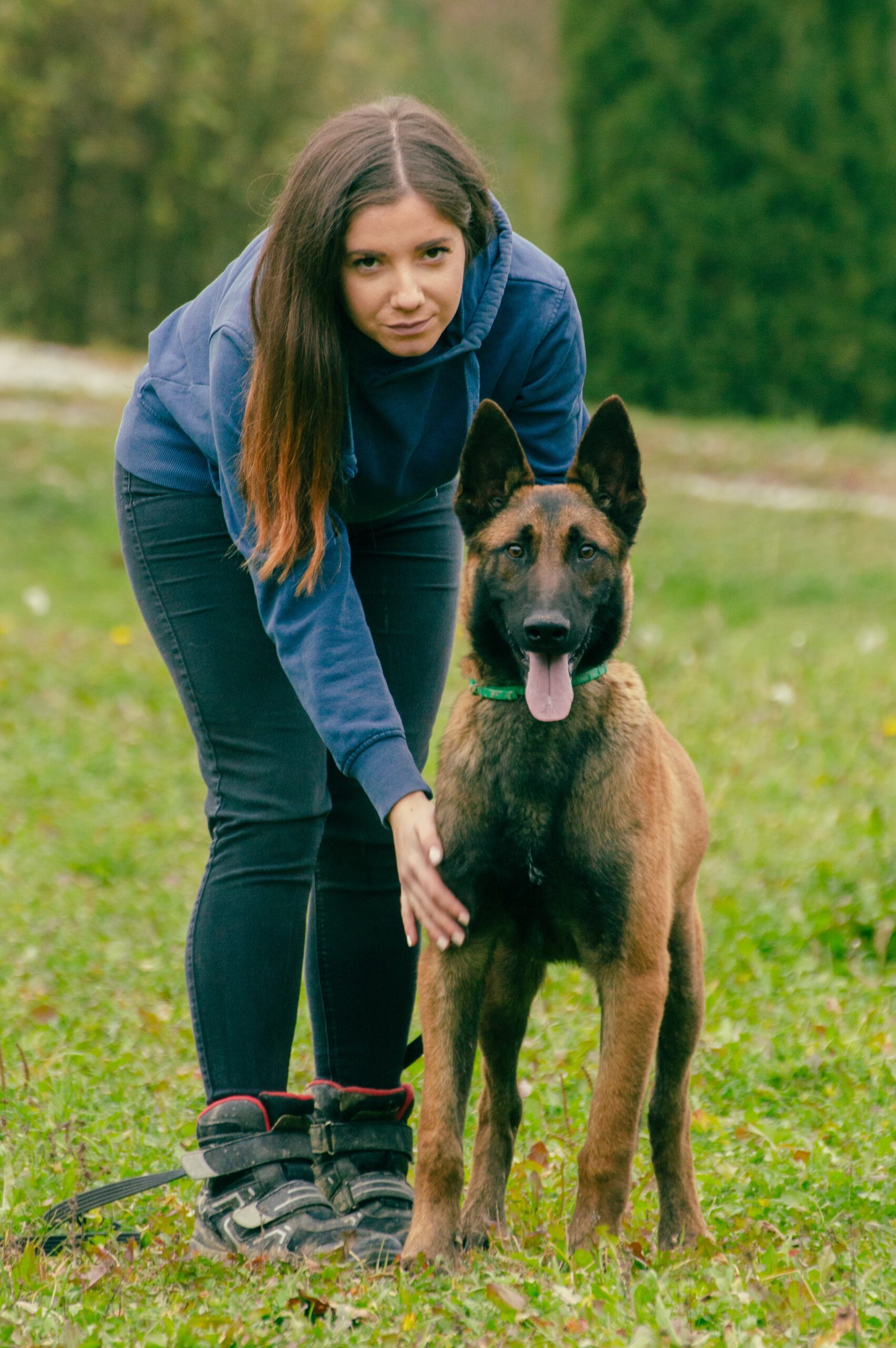 belgian-malinois with his tongue outside alongside his owner in blue pant shirt 