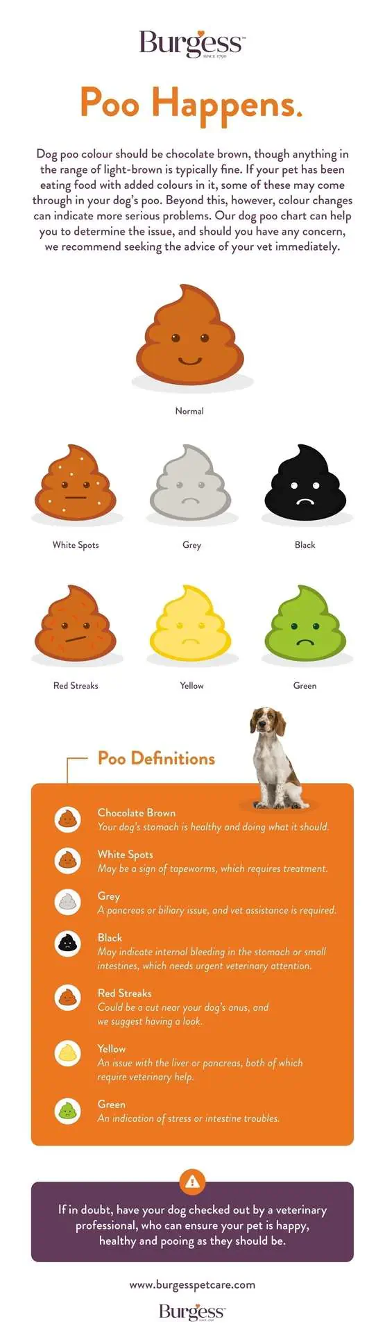 dog poo infographics 