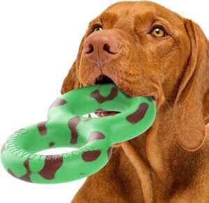 dog holding goughnut in his mouth