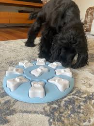 Nina Ottosson Dog Smart Interactive Puzzle Toy